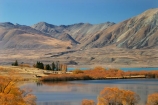 autumn;blue;calm;calmness;clean;clear;Daytime;Exterior;fall;golden;high-country;idyllic;lake;lake-mcgregor;lake-tekapo;lakes;Leisure;mackenzie-country;Nature;new-zealand;Outdoor;Outdoors;Outside;Peaceful;Peacefulness;pure;Quiet;Quietness;Recreation;Reflection;Reflections;scenery;Scenic;Scenics;season;seasonal;seasons;silence;south-island;tekapo;tranquil;tranquility;transparent;tree;trees;two-thumb-range;water;willow;willow-tree;willow-trees;willows;yellow