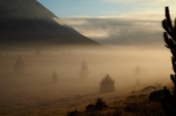 Ben-Ohau;Canterbury;fog;foggy;fogs;Mackenzie-Country;Mackenzie-District;mist;mists;misty;morning;New-Zealand;NZ;S.I.;SI;South-Canterbury;South-Is;South-Island;Sth-Is