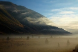 Ben-Ohau;Canterbury;fog;foggy;fogs;Mackenzie-Country;Mackenzie-District;mist;mists;misty;morning;New-Zealand;NZ;S.I.;SI;South-Canterbury;South-Is;South-Island;Sth-Is
