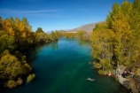 autuminal;autumn;autumn-colour;autumn-colours;autumnal;Canterbury;color;colors;colour;colours;deciduous;fall;gold;golden;leaf;leaves;Mackenzie-Country;New-Zealand;North-Otago;NZ;Ohau-River;S.I.;season;seasonal;seasons;SI;South-Canterbury;South-Is;South-Island;Sth-Is;Swimmer;Swimmers;tree;trees;Waitaki-District;Waitaki-Region;willow;willow-tree;willow-trees;willows;yellow