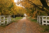 autumn;bridge;bridges;color;colors;colour;colours;fall;historic;historic-bridge;historical;mackenzie-country;new-zealand;peaceful;peacefulness;season;seasonal;seasonalseason;seasons;south-island;tranquil;tranquility;twizel;waitaki-district