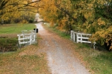 autumn;bridge;bridges;color;colors;colour;colours;fall;historic;historic-bridge;historical;mackenzie-country;new-zealand;peaceful;peacefulness;season;seasonal;seasons;south-island;tranquil;tranquility;twizel;waitaki-district
