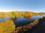 aerial;Aerial-drone;Aerial-drones;aerial-image;aerial-images;aerial-photo;aerial-photograph;aerial-photographs;aerial-photography;aerial-photos;aerial-view;aerial-views;aerials;autuminal;autumn;autumn-colour;autumn-colours;autumnal;calm;Canterbury;color;colors;colour;colours;deciduous;Drone;Drones;emotely-operated-aircraft;fall;gold;golden;Kelland-Pond;Kelland-Ponds;Kellands-Pond;Kellands-Ponds;lake;lakes;leaf;leaves;Mackenzie-Country;Mackenzie-District;Mackenzie-Region;N.Z.;New-Zealand;NZ;placid;pond;ponds;Quadcopter;Quadcopters;quiet;reflected;reflection;reflections;remote-piloted-aircraft-systems;remotely-piloted-aircraft;remotely-piloted-aircrafts;ROA;RPA;RPAS;S.I.;season;seasonal;seasons;serene;SI;smooth;South-Canterbury;South-Is;South-Island;Sth-Is;Sth-Is.;still;tranquil;tree;trees;Twizel;U.A.V.;UA;UAS;UAV;UAVs;Unmanned-aerial-vehicle;unmanned-aircraft;unpiloted-aerial-vehicle;unpiloted-aerial-vehicles;unpiloted-air-system;water;yellow
