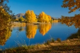 autuminal;autumn;autumn-colour;autumn-colours;autumnal;calm;Canterbury;color;colors;colour;colours;deciduous;fall;gold;golden;Kelland-Pond;Kelland-Ponds;Kellands-Pond;Kellands-Ponds;lake;lakes;leaf;leaves;Mackenzie-Country;Mackenzie-District;Mackenzie-Region;N.Z.;New-Zealand;NZ;placid;pond;ponds;quiet;reflected;reflection;reflections;S.I.;season;seasonal;seasons;serene;SI;smooth;South-Canterbury;South-Is;South-Island;Sth-Is;Sth-Is.;still;tranquil;tree;trees;Twizel;water;yellow