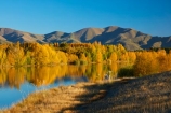 autuminal;autumn;autumn-colour;autumn-colours;autumnal;calm;Canterbury;color;colors;colour;colours;deciduous;fall;gold;golden;Kelland-Pond;Kelland-Ponds;Kellands-Pond;Kellands-Ponds;lake;lakes;leaf;leaves;Mackenzie-Country;Mackenzie-District;Mackenzie-Region;N.Z.;New-Zealand;NZ;placid;pond;ponds;quiet;reflected;reflection;reflections;S.I.;season;seasonal;seasons;serene;SI;smooth;South-Canterbury;South-Is;South-Island;Sth-Is;Sth-Is.;still;tranquil;tree;trees;Twizel;water;yellow
