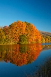 autuminal;autumn;autumn-colour;autumn-colours;autumnal;calm;Canterbury;color;colors;colour;colours;deciduous;fall;gold;golden;Kelland-Pond;Kelland-Ponds;Kellands-Pond;Kellands-Ponds;lake;lakes;leaf;leaves;Mackenzie-Country;Mackenzie-District;Mackenzie-Region;N.Z.;New-Zealand;NZ;placid;pond;ponds;quiet;reflected;reflection;reflections;S.I.;season;seasonal;seasons;serene;SI;smooth;South-Canterbury;South-Is;South-Island;Sth-Is;Sth-Is.;still;tranquil;tree;trees;Twizel;water;yellow