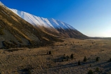 aerial;Aerial-drone;Aerial-drones;aerial-image;aerial-images;aerial-photo;aerial-photograph;aerial-photographs;aerial-photography;aerial-photos;aerial-view;aerial-views;aerials;Canterbury;Drone;Drones;Mackenzie-Country;Mackenzie-District;Mackenzie-Region;N.Z.;New-Zealand;NZ;Quadcopter-aerial;Quadcopters-aerials;SI;snow;snow-capped;snowy;South-Canterbury;South-Island;spring;Sth-Is;U.A.V.-aerial;UAV-aerials