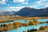 aqua;aquamarine;autuminal;autumn;autumn-colour;autumn-colours;autumnal;Ben-Ohau;Canterbury;color;colors;colour;colours;deciduous;fall;gold;golden;lake;Lake-Ruataniwha;lakes;leaf;leaves;Mackenzie-Country;Mackenzie-District;Mackenzie-Region;N.Z.;New-Zealand;North-Otago;NZ;Ohau-Ra;Ohau-Range;Otago;S.I.;season;seasonal;seasons;SI;South-Canterbury;South-Is;South-Island;Sth-Is;tree;trees;turquoise;willow;willow-tree;willow-trees;willows;yellow