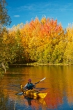 adventure;adventure-tourism;autuminal;autumn;autumn-colour;autumn-colours;autumnal;boat;boats;calm;canoe;canoeing;canoes;color;colors;colour;colours;deciduous;fall;gold;golden;kayak;kayaker;kayakers;kayaking;kayaks;Kelland-Pond;Kelland-Ponds;Kellands-Pond;Kellands-Ponds;lake;Lake-Ruataniwha;lakes;leaf;leaves;Mackenzie-Country;Mackenzie-District;Mackenzie-Region;model-released;MR;N.Z.;New-Zealand;North-Otago;NZ;Otago;paddle;paddler;paddlers;paddling;people;person;placid;pond;ponds;quiet;reflected;reflection;reflections;S.I.;sea-kayak;sea-kayaker;sea-kayakers;sea-kayaking;sea-kayaks;season;seasonal;seasons;serene;SI;smooth;South-Is;South-Island;Sth-Is;Sth-Is.;still;tourism;tourist;tourists;tranquil;tree;trees;Twizel;Waitaki-District;Waitaki-Region;water;yellow
