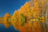 adventure;adventure-tourism;autuminal;autumn;autumn-colour;autumn-colours;autumnal;boat;boats;calm;canoe;canoeing;canoes;color;colors;colour;colours;deciduous;fall;gold;golden;kayak;kayaker;kayakers;kayaking;kayaks;Kelland-Pond;Kelland-Ponds;Kellands-Pond;Kellands-Ponds;lake;Lake-Ruataniwha;lakes;leaf;leaves;Mackenzie-Country;Mackenzie-District;Mackenzie-Region;model-released;MR;N.Z.;New-Zealand;North-Otago;NZ;Otago;paddle;paddler;paddlers;paddling;people;person;placid;pond;ponds;quiet;reflected;reflection;reflections;S.I.;sea-kayak;sea-kayaker;sea-kayakers;sea-kayaking;sea-kayaks;season;seasonal;seasons;serene;SI;smooth;South-Is;South-Island;Sth-Is;Sth-Is.;still;tourism;tourist;tourists;tranquil;tree;trees;Twizel;Waitaki-District;Waitaki-Region;water;yellow