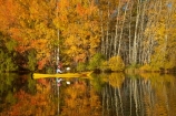 adventure;adventure-tourism;autuminal;autumn;autumn-colour;autumn-colours;autumnal;boat;boats;calm;canoe;canoeing;canoes;color;colors;colour;colours;deciduous;fall;gold;golden;kayak;kayaker;kayakers;kayaking;kayaks;Kelland-Pond;Kelland-Ponds;Kellands-Pond;Kellands-Ponds;lake;Lake-Ruataniwha;lakes;leaf;leaves;Mackenzie-Country;Mackenzie-District;Mackenzie-Region;model-released;MR;N.Z.;New-Zealand;North-Otago;NZ;Otago;paddle;paddler;paddlers;paddling;people;person;placid;pond;ponds;quiet;reflected;reflection;reflections;S.I.;sea-kayak;sea-kayaker;sea-kayakers;sea-kayaking;sea-kayaks;season;seasonal;seasons;serene;SI;smooth;South-Is;South-Island;Sth-Is;Sth-Is.;still;tourism;tourist;tourists;tranquil;tree;trees;Twizel;Waitaki-District;Waitaki-Region;water;yellow