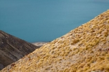 back-country;backcountry;Canterbury;high-altitude;high-country;highcountry;highlands;Lake-Ohau;Mackenzie-Country;Mackenzie-District;N.Z.;New-Zealand;NZ;Ohau;Ohau-Range;remote;remoteness;S.I.;SI;South-Canterbury;South-Is.;South-Island;tussock;tussocklands;tussocks;uiplands;upland;uplands