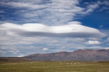agricultural;agriculture;altocumulus-lenticularis;Benmore-Range;big-sky;Canterbury;cloud;clouds;country;countryside;farm;farming;farmland;farms;field;fields;lens-shaped-cloud;lens-shaped-clouds;lenticular-cloud;lenticular-clouds;lenticularis-cloud;lenticularis-clouds;Mackenzie-Country;Mackenzie-District;meadow;meadows;N.Z.;New-Zealand;NZ;paddock;paddocks;pasture;pastures;rural;S.I.;SI;skies;sky;South-Canterbury;South-Is.;South-Island