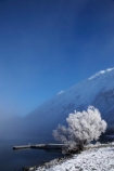 alpine;altitude;beautiful;Ben-Ohau;calm;calmness;clean;clear;cold;Coldness;Color;Colour;Daytime;Exterior;extreme-weather;freeze;freezing;freezing-fog;frost;Frosted;frosty;frozen;high-altitude;high-country;hoar-frost;hoar-frosts;Hoarfrost;hoarfrosts;ice;ice-crystals;icy;idyllic;jetties;jetty;lake;Lake-Ohau;lakes;Landscape;Landscapes;Mackenzie-Country;mount;mountain;mountain-peak;mountainous;mountains;mountainside;mt;mt.;N.Z.;natural;Nature;New-Zealand;NZ;Outdoor;Outdoors;Outside;peaceful;Peacefulness;peak;peaks;phenomena;phenomenon;pier;piers;pure;Quiet;Quietness;range;ranges;rime;rime-ice;S.I.;Scenic;Scenics;season;seasonal;seasons;SI;silence;snow;snow-capped;snow_capped;snowcapped;snowy;South-Canterbury;South-Is;south-island;spectacular;stunning;tranquil;tranquility;view;water;waterside;weather;wharf;wharfes;wharves;White;willow-tree;willow-trees;willows;winter;Wintertime;wintery;wintry