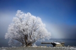 beautiful;calm;calmness;clean;clear;cold;Coldness;Color;Colour;Daytime;Exterior;extreme-weather;freeze;freezing;freezing-fog;frost;Frosted;frosty;frozen;high-country;hoar-frost;hoar-frosts;Hoarfrost;hoarfrosts;ice;ice-crystals;icy;idyllic;jetties;jetty;lake;Lake-Ohau;lakes;Landscape;Landscapes;Mackenzie-Country;N.Z.;natural;Nature;New-Zealand;NZ;Outdoor;Outdoors;Outside;peaceful;Peacefulness;phenomena;phenomenon;pier;piers;pure;Quiet;Quietness;rime;rime-ice;S.I.;Scenic;Scenics;season;seasonal;seasons;SI;silence;South-Canterbury;South-Is;south-island;spectacular;stunning;tranquil;tranquility;view;water;waterside;weather;wharf;wharfes;wharves;White;willow-tree;willow-trees;willows;winter;Wintertime;wintery;wintry