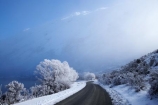 alpine;altitude;beautiful;Ben-Ohau;calm;calmness;clean;clear;cold;Coldness;Color;Colour;countryside;Daytime;Exterior;extreme-weather;freeze;freezing;freezing-fog;frost;Frosted;frosty;frozen;gravel-road;gravel-roads;high-altitude;high-country;hoar-frost;hoar-frosts;Hoarfrost;hoarfrosts;ice;ice-crystals;icy;idyllic;lake;Lake-Ohau;lakes;Landscape;Landscapes;Mackenzie-Country;metal-road;metal-roads;metalled-road;metalled-roads;mount;mountain;mountain-peak;mountainous;mountains;mountainside;mt;mt.;N.Z.;natural;Nature;New-Zealand;NZ;Outdoor;Outdoors;Outside;peaceful;Peacefulness;peak;peaks;phenomena;phenomenon;pure;Quiet;Quietness;range;ranges;rime;rime-ice;road;roads;rural;S.I.;Scenic;Scenics;season;seasonal;seasons;SI;silence;snow;snow-capped;snow_capped;snowcapped;snowy;South-Canterbury;South-Is;south-island;spectacular;stunning;tranquil;tranquility;view;water;weather;White;willow-tree;willow-trees;willows;winter;Wintertime;wintery;wintry
