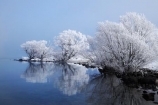 beautiful;calm;calmness;clean;clear;cold;Coldness;Color;Colour;Daytime;Exterior;extreme-weather;freeze;freezing;freezing-fog;frost;Frosted;frosty;frozen;high-country;hoar-frost;hoar-frosts;Hoarfrost;hoarfrosts;ice;ice-crystals;icy;idyllic;lake;Lake-Ohau;lakes;Landscape;Landscapes;Mackenzie-Country;N.Z.;natural;Nature;New-Zealand;NZ;Outdoor;Outdoors;Outside;peaceful;Peacefulness;phenomena;phenomenon;placid;pure;quiet;Quietness;reflection;reflections;rime;rime-ice;S.I.;Scenic;Scenics;season;seasonal;seasons;serene;SI;silence;smooth;South-Canterbury;South-Is;south-island;spectacular;still;stunning;tranquil;tranquility;view;water;weather;White;willow-tree;willow-trees;willows;winter;Wintertime;wintery;wintry