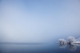 beautiful;calm;calmness;clean;clear;cold;Coldness;Color;Colour;Daytime;Exterior;extreme-weather;freeze;freezing;freezing-fog;frost;Frosted;frosty;frozen;high-country;hoar-frost;hoar-frosts;Hoarfrost;hoarfrosts;ice;ice-crystals;icy;idyllic;lake;Lake-Ohau;lakes;Landscape;Landscapes;Mackenzie-Country;N.Z.;natural;Nature;New-Zealand;NZ;Outdoor;Outdoors;Outside;peaceful;Peacefulness;phenomena;phenomenon;placid;pure;quiet;Quietness;reflection;reflections;rime;rime-ice;S.I.;Scenic;Scenics;season;seasonal;seasons;serene;SI;silence;smooth;South-Canterbury;South-Is;south-island;spectacular;still;stunning;tranquil;tranquility;view;water;weather;White;willow-tree;willow-trees;willows;winter;Wintertime;wintery;wintry