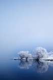 beautiful;calm;calmness;clean;clear;cold;Coldness;Color;Colour;Daytime;Exterior;extreme-weather;freeze;freezing;freezing-fog;frost;Frosted;frosty;frozen;high-country;hoar-frost;hoar-frosts;Hoarfrost;hoarfrosts;ice;ice-crystals;icy;idyllic;lake;Lake-Ohau;lakes;Landscape;Landscapes;Mackenzie-Country;N.Z.;natural;Nature;New-Zealand;NZ;Outdoor;Outdoors;Outside;peaceful;Peacefulness;phenomena;phenomenon;placid;pure;quiet;Quietness;reflection;reflections;rime;rime-ice;S.I.;Scenic;Scenics;season;seasonal;seasons;serene;SI;silence;smooth;South-Canterbury;South-Is;south-island;spectacular;still;stunning;tranquil;tranquility;view;water;weather;White;willow-tree;willow-trees;willows;winter;Wintertime;wintery;wintry