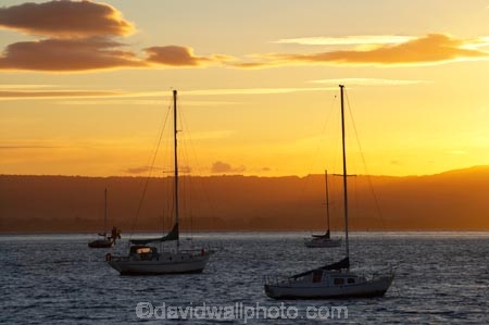 B.O.P.;Bay-of-Plenty;boat;boats;BOP;coast;coastal;coastline;coastlines;coasts;dusk;evening;foreshore;mast;masts;Mount-Maunganui;Mt-Maunganui;Mt.-Maunganui;N.I.;N.Z.;New-Zealand;NI;nightfall;North-Is;North-Island;NZ;ocean;orange;sea;shore;shoreline;shorelines;shores;sky;sunset;sunsets;Tauranga-Harbor;Tauranga-Harbour;twilight;water;yacht;yachts