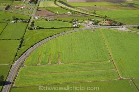 aerial;aerial-photo;aerial-photograph;aerial-photographs;aerial-photography;aerial-photos;aerial-view;aerial-views;aerials;agricultural;agriculture;Bay-of-Plenty;bend;bends;corner;corners;country;countryside;curve;curves;farm;farming;farmland;farms;field;fields;highway;highways;meadow;meadows;N.I.;N.Z.;New-Zealand;NI;North-Is;North-Island;NZ;open-road;open-roads;paddock;paddocks;Paroa;Paroa-Marae;pasture;pastures;road;roads;rural;state-highway-30;state-highway-thirty;transport;transportation;Whakatane
