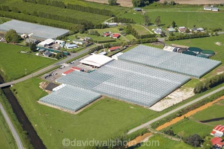 aerial;aerial-photo;aerial-photograph;aerial-photographs;aerial-photography;aerial-photos;aerial-view;aerial-views;aerials;agricultural;agriculture;Bay-of-Plenty;country;countryside;crop;crops;cultivation;farm;farming;farmland;farms;field;fields;glasshouse;glasshouses;greenhouse;greenhouses;horticulture;hothouse;hothouses;meadow;meadows;N.I.;N.Z.;New-Zealand;NI;North-Is;North-Island;NZ;paddock;paddocks;pasture;pastures;rural;vegetable-grower;vegetable-growing;Whakatane-Growers;Whakatane-Growers-Ltd