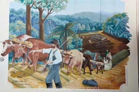 art;art-work;art-works;artist;artists;Bay-of-Plenty;Katikati;Ken-Young;mural;mural-town;murals;N.I.;N.Z.;New-Zealand;NI;North-Is;North-Is.;North-Island;NZ;painter;painters;public-art;public-art-work;public-art-works