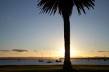 B.O.P.;Bay-of-Plenty;boat;boats;BOP;coast;coastal;coastline;coastlines;coasts;dusk;evening;foreshore;mast;masts;Mount-Maunganui;Mt-Maunganui;Mt.-Maunganui;N.I.;N.Z.;New-Zealand;NI;nightfall;North-Is;North-Island;NZ;ocean;orange;palm;palm-tree;palm-trees;palms;sea;shore;shoreline;shorelines;shores;silhouette;sky;sunset;sunsets;Tauranga-Harbor;Tauranga-Harbour;twilight;water;yacht;yachts