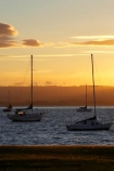 B.O.P.;Bay-of-Plenty;boat;boats;BOP;coast;coastal;coastline;coastlines;coasts;dusk;evening;foreshore;mast;masts;Mount-Maunganui;Mt-Maunganui;Mt.-Maunganui;N.I.;N.Z.;New-Zealand;NI;nightfall;North-Is;North-Island;NZ;ocean;orange;sea;shore;shoreline;shorelines;shores;sky;sunset;sunsets;Tauranga-Harbor;Tauranga-Harbour;twilight;water;yacht;yachts
