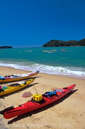 coast;coastal;coastline;shore;shoreline;shore-line;coast-line;sea;water;kayak;kayaks;kayaking;island;islands;bush;tranquil;tranquility;peaceful;peace;peacefulness;beach;beaches;sand;colour;colours;color;colors;yellow;blue;green;aqua;paddle;paddles;paddling
