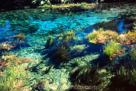 clean;clear;fresh-water;freshwater;Golden-Bay;mineral;natural;Pupu-Springs;pure;purity;South-Island;spring;springs;Takaka;Waikoropupu;water