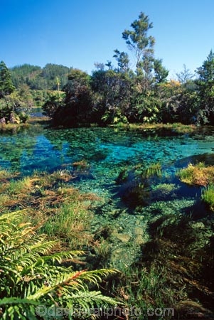 Pupu-Springs;Takaka;Golden-Bay;South-Island;pure;purity;clean;clear;spring;springs;mineral;natural;water;Waikoropupu;freshwater;fresh-water