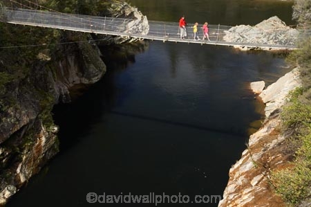 1887;Aorere-River;Aorere-Valley;bridge;bridges;families;family;foot-bridge;foot-bridges;footbridge;footbridges;Golden-Bay;hiking-track;hiking-tracks;N.Z.;Nelson-Region;New-Zealand;NZ;pedestrian-bridge;pedestrian-bridges;people;person;S.I.;Salisbury-Footbridge;SI;South-Is.;South-Island;suspension-bridge;suspension-bridges;swing-bridge;swing-bridges;track;tracks;walker;walkers;walking-track;walking-tracks;wire-bridge;wire-bridges