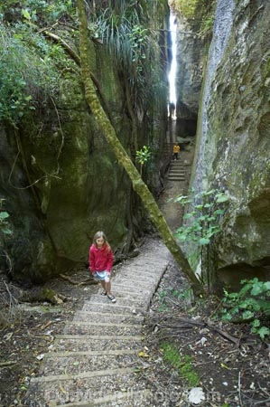 canyon;canyons;child;children;families;family;Golden-Bay;gorge;gorges;kids;limestone;model-release;model-released;mother;mothers;N.Z.;Nelson-Region;New-Zealand;NZ;path;paths;pathway;pathways;people;person;S.I.;SI;slot-canyon;slot-canyons;South-Is.;South-Island;Takaka;The-Grove;The-Grove-Scenic-Reserve;track;tracks;walkers;walking