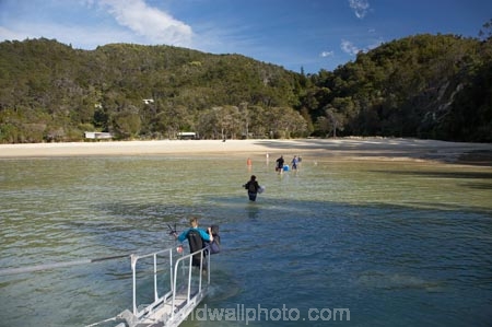 Abel-Tasman-Coast-Track;Abel-Tasman-Coastal-Track;Abel-Tasman-N.P.;Abel-Tasman-National-Park;Abel-Tasman-NP;beach;beaches;coast;coastal;coastline;inlet;inlets;N.Z.;national-park;national-parks;Nelson-Region;New-Zealand;NZ;ocean;oceans;S.I.;sand;sandy;sea;seas;shore;shoreline;SI;South-Is.;South-Island;tidal;tide;Torrent-Bay;tour-boat;tour-boats;tourism;tourist;tourist-boat;tourist-boats;wade;wading;water;water-taxi;water-taxis