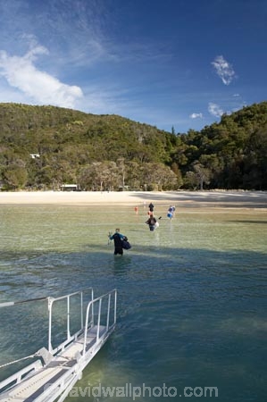 Abel-Tasman-Coast-Track;Abel-Tasman-Coastal-Track;Abel-Tasman-N.P.;Abel-Tasman-National-Park;Abel-Tasman-NP;beach;beaches;coast;coastal;coastline;inlet;inlets;N.Z.;national-park;national-parks;Nelson-Region;New-Zealand;NZ;ocean;oceans;S.I.;sand;sandy;sea;seas;shore;shoreline;SI;South-Is.;South-Island;tidal;tide;Torrent-Bay;tour-boat;tour-boats;tourism;tourist;tourist-boat;tourist-boats;wade;wading;water;water-taxi;water-taxis