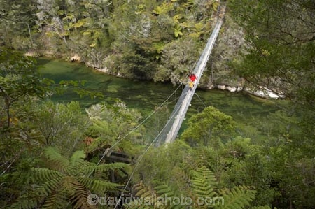 Abel-Tasman-Coast-Track;Abel-Tasman-Coastal-Track;Abel-Tasman-N.P.;Abel-Tasman-National-Park;Abel-Tasman-NP;beautiful;beauty;bridge;bridges;bush;endemic;estuaries;estuary;Falls-River;Falls-River-Bridge;Falls-River-Foot-Bridge;Falls-River-Inlet;Falls-River-Lagoon;Falls-River-Suspension-Bridge;Falls-River-Swing-Bridge;foot-bridge;foot-bridges;footbridge;footbridges;forest;forests;green;hiking-track;hiking-tracks;inlet;inlets;lagoon;lagoons;model-release;model-released;N.Z.;national-park;national-parks;native;native-bush;natives;natural;nature;Nelson-Region;New-Zealand;NZ;pedestrian-bridge;pedestrian-bridges;people;person;rivers;S.I.;scene;scenic;SI;South-Is.;South-Island;suspension-bridge;suspension-bridges;swing-bridge;swing-bridges;tidal;tide;timber;track;tracks;tree;trees;walking-track;walking-tracks;water;wire-bridge;wire-bridges;wood;woods