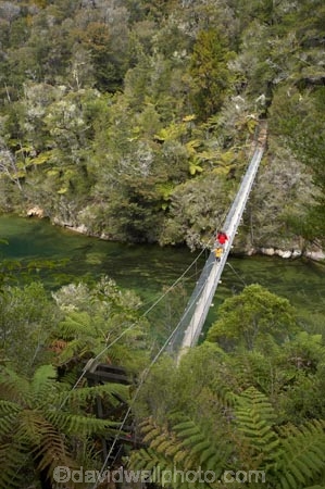 Abel-Tasman-Coast-Track;Abel-Tasman-Coastal-Track;Abel-Tasman-N.P.;Abel-Tasman-National-Park;Abel-Tasman-NP;beautiful;beauty;bridge;bridges;bush;endemic;estuaries;estuary;Falls-River;Falls-River-Bridge;Falls-River-Foot-Bridge;Falls-River-Inlet;Falls-River-Lagoon;Falls-River-Suspension-Bridge;Falls-River-Swing-Bridge;foot-bridge;foot-bridges;footbridge;footbridges;forest;forests;green;hiking-track;hiking-tracks;inlet;inlets;lagoon;lagoons;model-release;model-released;N.Z.;national-park;national-parks;native;native-bush;natives;natural;nature;Nelson-Region;New-Zealand;NZ;pedestrian-bridge;pedestrian-bridges;people;person;rivers;S.I.;scene;scenic;SI;South-Is.;South-Island;suspension-bridge;suspension-bridges;swing-bridge;swing-bridges;tidal;tide;timber;track;tracks;tree;trees;walking-track;walking-tracks;water;wire-bridge;wire-bridges;wood;woods