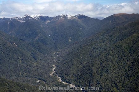 aerial;aerial-photo;aerial-photograph;aerial-photographs;aerial-photography;aerial-photos;aerial-view;aerial-views;aerials;beautiful;beauty;bush;endemic;Flanagan-Creek;Forest;forests;Gouland-Range;green;Kahurangi-N.P.;Kahurangi-National-Park;Kahurangi-NP;N.Z.;national-park;national-parks;native;native-bush;natives;natural;nature;Nelson-Region;New-Zealand;NZ;S.I.;Saddle-Creek;scene;scenic;SI;South-Is.;South-Island;tree;trees;woods
