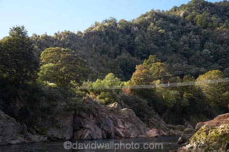 adventure;bridge;bridges;Buller-Gorge;Buller-Gorge-Swing-Bridge;Buller-River;exciting;female;foot-bridge;foot-bridges;footbridge;footbridges;high;N.Z.;Nelson-District;Nelson-Region;New-Zealand;NZ;pedestrian-bridge;pedestrian-bridges;people;person;river;rivers;S.I.;SI;South-Is;South-Island;Sth-Is.;suspension-bridge;suspension-bridges;swing-bridge;swing-bridges;Tasman-District;Tasman-Region;track;tracks;Upper-Buller-Gorge;wire-bridge;wire-bridges;woman