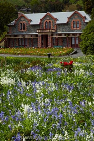 bloom;blooming;blooms;building;buildings;flower;flowers;fresh;garden;gardens;grow;growth;heritage;historic;historic-building;historic-buildings;historical;historical-building;historical-buildings;history;Isel-House;N.Z.;Nelson;Nelson-City;Nelson-District;Nelson-Region;New-Zealand;NZ;old;renew;S.I.;season;seasonal;seasons;SI;South-Is;South-Is.;South-Island;spring;Spring-Flowers;springtime;Sth-Is;Stoke;tradition;traditional