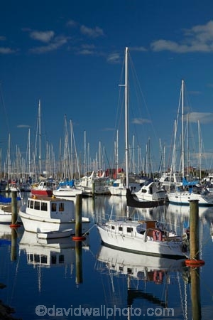 boat;boat-harbor;boat-harbors;boat-harbour;boat-harbours;boats;calm;calmness;coast;coastal;coasts;cruiser;cruisers;harbor;harbors;harbour;harbours;hull;hulls;launch;launches;marina;marinas;mast;masts;N.Z.;Nelson;Nelson-City;Nelson-District;Nelson-Marina;Nelson-Region;New-Zealand;NZ;peaceful;peacefulness;placid;port;ports;quiet;reflected;reflection;reflections;S.I.;sail;sail-boat;sail-boats;sailboat;sailboats;sailing;serene;SI;smooth;South-Is;South-Is.;South-Island;Sth-Is;still;stillness;tranquil;tranquility;water;yacht;yachts