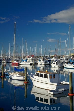 boat;boat-harbor;boat-harbors;boat-harbour;boat-harbours;boats;calm;calmness;coast;coastal;coasts;cruiser;cruisers;harbor;harbors;harbour;harbours;hull;hulls;launch;launches;marina;marinas;mast;masts;N.Z.;Nelson;Nelson-City;Nelson-District;Nelson-Marina;Nelson-Region;New-Zealand;NZ;peaceful;peacefulness;placid;port;ports;quiet;reflected;reflection;reflections;S.I.;sail;sail-boat;sail-boats;sailboat;sailboats;sailing;serene;SI;smooth;South-Is;South-Is.;South-Island;Sth-Is;still;stillness;tranquil;tranquility;water;yacht;yachts