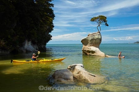 Abel-Tasman;Abel-Tasman-N.P.;Abel-Tasman-National-Park;Abel-Tasman-NP;adventure;adventure-tourism;boat;boats;canoe;canoeing;canoes;coast;coastal;coastline;coastlines;coasts;hot;kayak;kayaker;kayakers;kayaking;kayaks;model-release;model-released;MR;N.Z.;national-park;national-parks;Nelson-Region;New-Zealand;NZ;ocean;oceans;paddle;paddler;paddlers;paddling;people;person;rock;S.I.;sea;sea-kayak;sea-kayaker;sea-kayakers;sea-kayaking;sea-kayaks;seas;shore;shoreline;shorelines;shores;South-Is;South-Island;Sth-Is;summer;swimmer;swimmers;Tasman-Bay;Tasman-District;Tinline-Bay;tourism;tourist;tourists;tree;tree-on-rock;vacation;vacations;water;yellow-kayak;yellow-kayaks