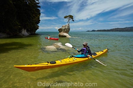 Abel-Tasman;Abel-Tasman-N.P.;Abel-Tasman-National-Park;Abel-Tasman-NP;adventure;adventure-tourism;boat;boats;canoe;canoeing;canoes;coast;coastal;coastline;coastlines;coasts;hot;kayak;kayaker;kayakers;kayaking;kayaks;M.R.;model-release;model-released;MR;N.Z.;national-park;national-parks;Nelson-Region;New-Zealand;NZ;ocean;oceans;paddle;paddler;paddlers;paddling;people;person;rock;S.I.;sea;sea-kayak;sea-kayaker;sea-kayakers;sea-kayaking;sea-kayaks;seas;shore;shoreline;shorelines;shores;South-Is;South-Island;Sth-Is;summer;Tasman-Bay;Tasman-District;Tinline-Bay;tourism;tourist;tourists;tree;tree-on-rock;vacation;vacations;water;yellow-kayak;yellow-kayaks