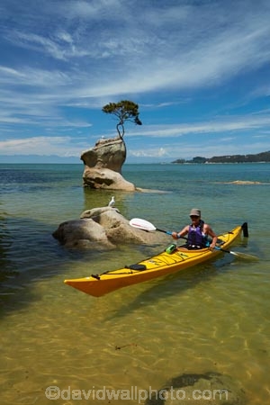 Abel-Tasman;Abel-Tasman-N.P.;Abel-Tasman-National-Park;Abel-Tasman-NP;adventure;adventure-tourism;boat;boats;canoe;canoeing;canoes;coast;coastal;coastline;coastlines;coasts;hot;kayak;kayaker;kayakers;kayaking;kayaks;M.R.;model-release;model-released;MR;N.Z.;national-park;national-parks;Nelson-Region;New-Zealand;NZ;ocean;oceans;paddle;paddler;paddlers;paddling;people;person;rock;S.I.;sea;sea-kayak;sea-kayaker;sea-kayakers;sea-kayaking;sea-kayaks;seas;shore;shoreline;shorelines;shores;South-Is;South-Island;Sth-Is;summer;Tasman-Bay;Tasman-District;Tinline-Bay;tourism;tourist;tourists;tree;tree-on-rock;vacation;vacations;water;yellow-kayak;yellow-kayaks