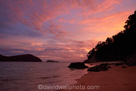 Abel-Tasman;Abel-Tasman-N.P.;Abel-Tasman-National-Park;Abel-Tasman-NP;Adele-Is;Adele-Island;Astrolabe-Roadstead;beach;beaches;coast;coastal;coastline;coastlines;coasts;dusk;evening;N.Z.;national-park;national-parks;Nelson-Region;New-Zealand;night;night_time;nightfall;NZ;Observation-Beach;ocean;oceans;S.I.;sea;seas;shore;shoreline;shorelines;shores;South-Is;South-Island;Sth-Is;sunset;sunsets;Tasman-Bay;Tasman-District;twilight;water
