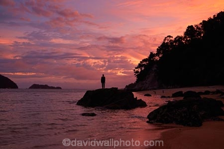 Abel-Tasman;Abel-Tasman-N.P.;Abel-Tasman-National-Park;Abel-Tasman-NP;Adele-Is;Adele-Island;Astrolabe-Roadstead;beach;beaches;coast;coastal;coastline;coastlines;coasts;dusk;evening;model-release;model-released;MR;N.Z.;national-park;national-parks;Nelson-Region;New-Zealand;night;night_time;nightfall;NZ;Observation-Beach;ocean;oceans;people;person;S.I.;sea;seas;shore;shoreline;shorelines;shores;silhouette;silhouettes;South-Is;South-Island;Sth-Is;sunset;sunsets;Tasman-Bay;Tasman-District;tourist;tourists;twilight;water