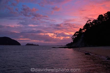 Abel-Tasman;Abel-Tasman-N.P.;Abel-Tasman-National-Park;Abel-Tasman-NP;Adele-Is;Adele-Island;Astrolabe-Roadstead;beach;beaches;coast;coastal;coastline;coastlines;coasts;dusk;evening;N.Z.;national-park;national-parks;Nelson-Region;New-Zealand;night;night_time;nightfall;NZ;Observation-Beach;ocean;oceans;S.I.;sea;seas;shore;shoreline;shorelines;shores;South-Is;South-Island;Sth-Is;sunset;sunsets;Tasman-Bay;Tasman-District;twilight;water