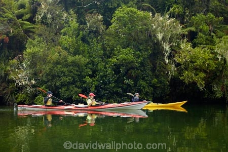 Abel-Tasman;Abel-Tasman-N.P.;Abel-Tasman-National-Park;Abel-Tasman-NP;adventure;adventure-tourism;boat;boats;bush;canoe;canoeing;canoes;estuaries;estuary;Falls-River;forest;green;inlet;inlets;kayak;kayaker;kayakers;kayaking;kayaks;lagoon;lagoons;M.R.;model-release;model-released;MR;N.Z.;national-park;national-parks;native-bush;Nelson-Region;New-Zealand;NZ;paddle;paddler;paddlers;paddling;people;person;red-kayak;red-kayaks;S.I.;Sandfly-Bay;Sandfly-Bay-Lagoon;sea-kayak;sea-kayaker;sea-kayakers;sea-kayaking;sea-kayaks;South-Is;South-Island;Sth-Is;Tasman-Bay;Tasman-District;tidal;tide;tourism;tourist;tourists;vacation;vacations;water;yellow-kayak;yellow-kayaks